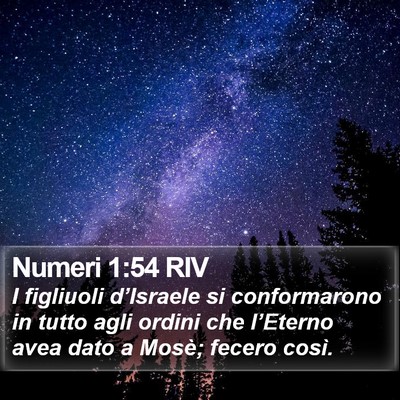 Numeri 1:54 RIV Bible Verse Image
