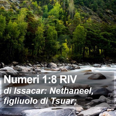 Numeri 1:8 RIV Bible Verse Image