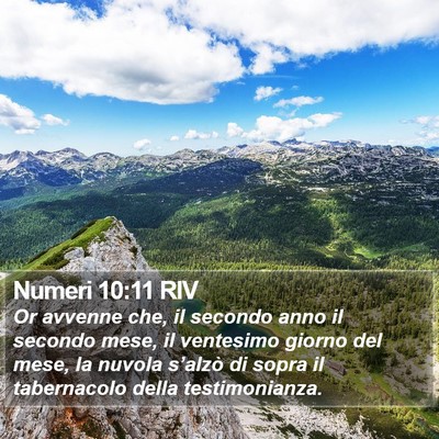 Numeri 10:11 RIV Bible Verse Image