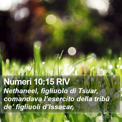Numeri 10:15 RIV Bible Verse Image