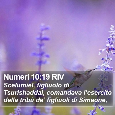Numeri 10:19 RIV Bible Verse Image