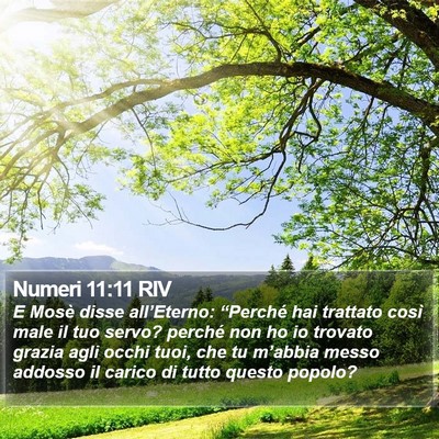 Numeri 11:11 RIV Bible Verse Image
