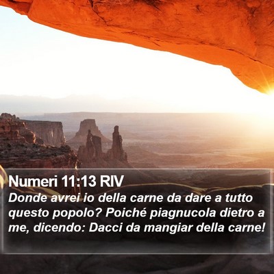 Numeri 11:13 RIV Bible Verse Image