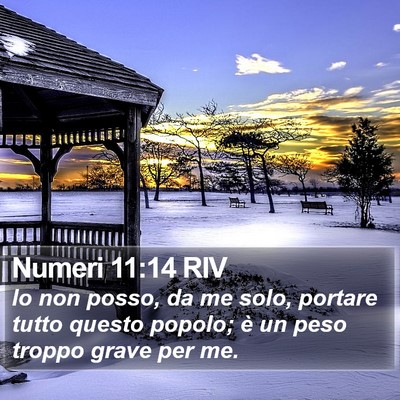 Numeri 11:14 RIV Bible Verse Image