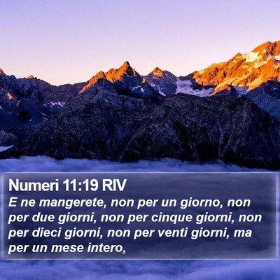 Numeri 11:19 RIV Bible Verse Image