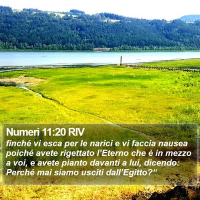 Numeri 11:20 RIV Bible Verse Image