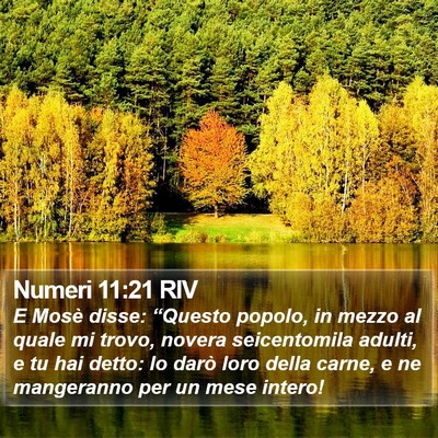 Numeri 11:21 RIV Bible Verse Image