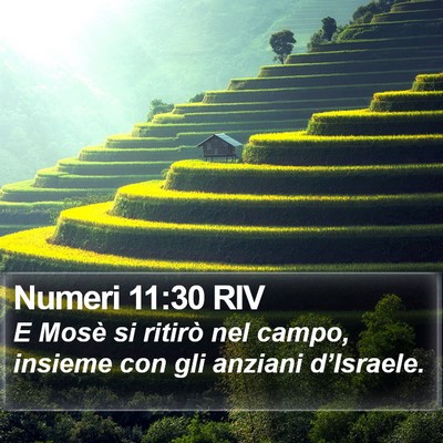 Numeri 11:30 RIV Bible Verse Image