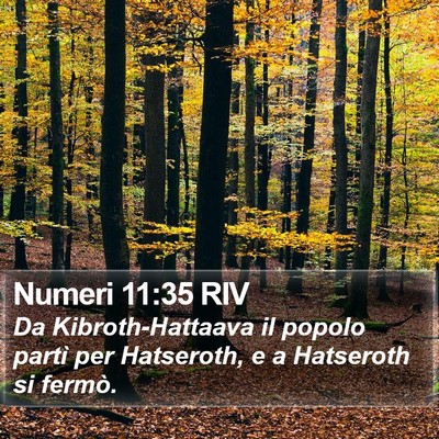 Numeri 11:35 RIV Bible Verse Image