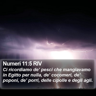Numeri 11:5 RIV Bible Verse Image