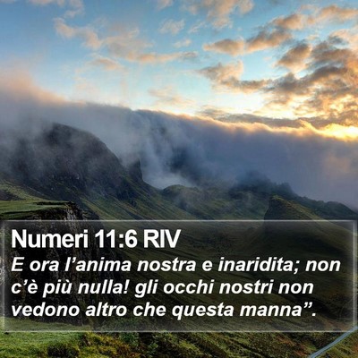 Numeri 11:6 RIV Bible Verse Image