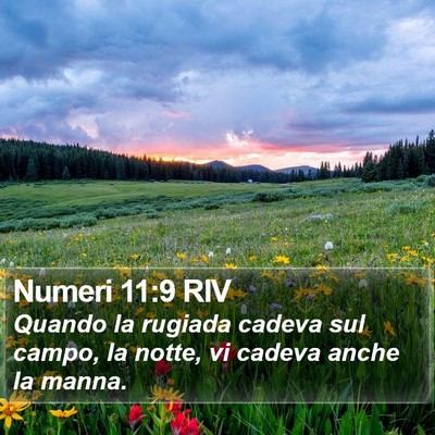 Numeri 11:9 RIV Bible Verse Image