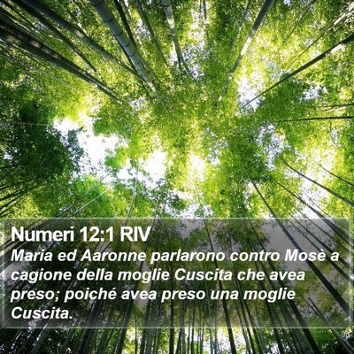 Numeri 12:1 RIV Bible Verse Image