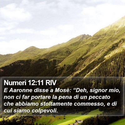 Numeri 12:11 RIV Bible Verse Image
