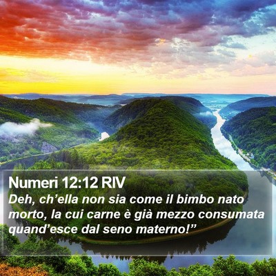 Numeri 12:12 RIV Bible Verse Image