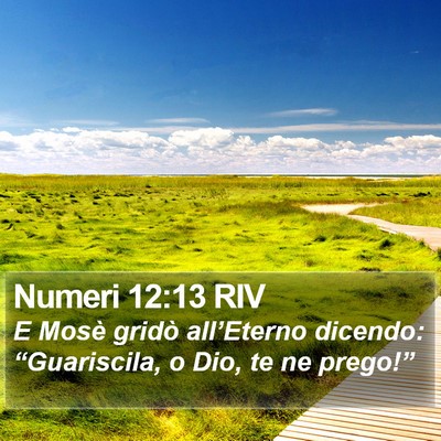 Numeri 12:13 RIV Bible Verse Image