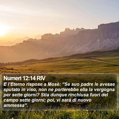 Numeri 12:14 RIV Bible Verse Image