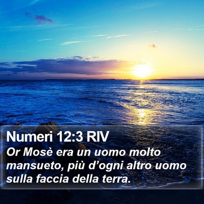 Numeri 12:3 RIV Bible Verse Image