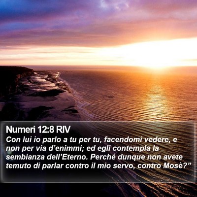 Numeri 12:8 RIV Bible Verse Image