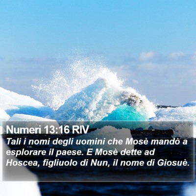 Numeri 13:16 RIV Bible Verse Image