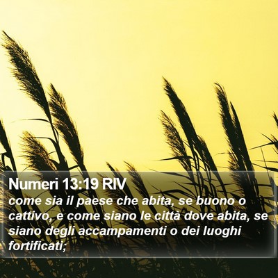 Numeri 13:19 RIV Bible Verse Image