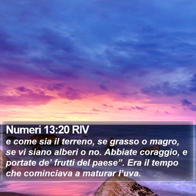 Numeri 13:20 RIV Bible Verse Image