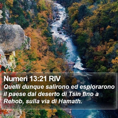 Numeri 13:21 RIV Bible Verse Image