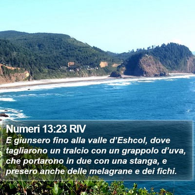 Numeri 13:23 RIV Bible Verse Image