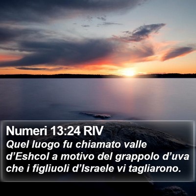 Numeri 13:24 RIV Bible Verse Image