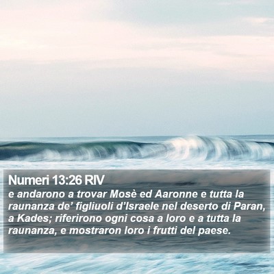 Numeri 13:26 RIV Bible Verse Image