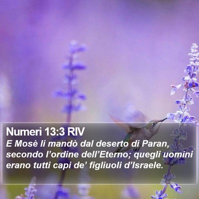 Numeri 13:3 RIV Bible Verse Image