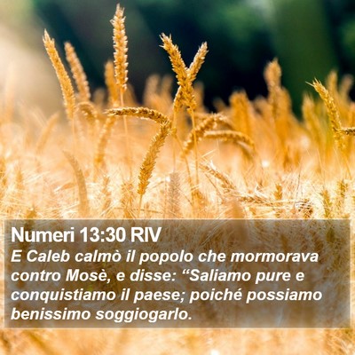 Numeri 13:30 RIV Bible Verse Image