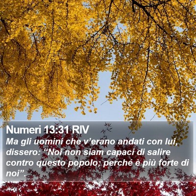 Numeri 13:31 RIV Bible Verse Image
