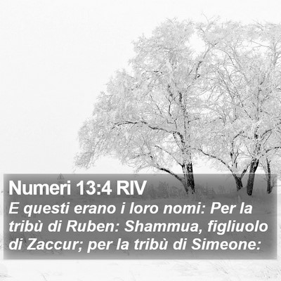 Numeri 13:4 RIV Bible Verse Image