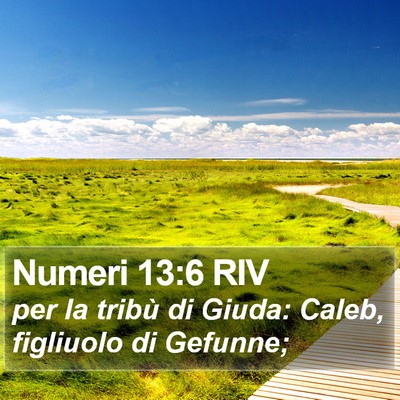 Numeri 13:6 RIV Bible Verse Image