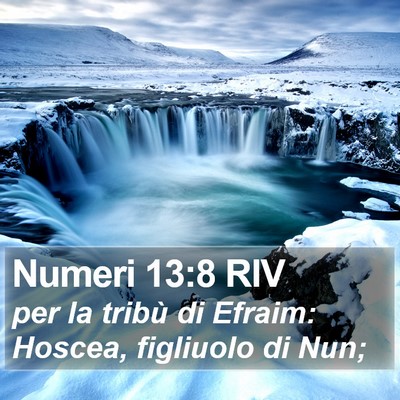 Numeri 13:8 RIV Bible Verse Image