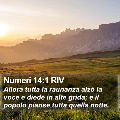 Numeri 14:1 RIV Bible Verse Image