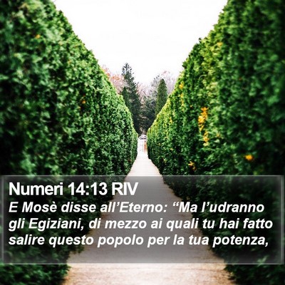 Numeri 14:13 RIV Bible Verse Image
