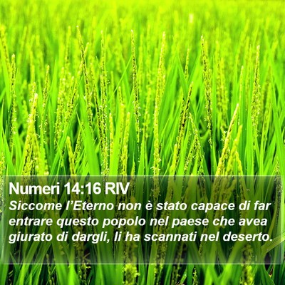 Numeri 14:16 RIV Bible Verse Image