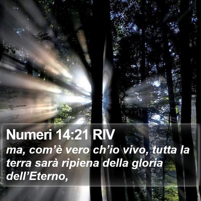 Numeri 14:21 RIV Bible Verse Image