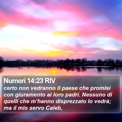 Numeri 14:23 RIV Bible Verse Image