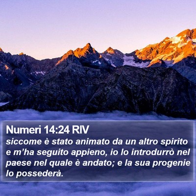Numeri 14:24 RIV Bible Verse Image