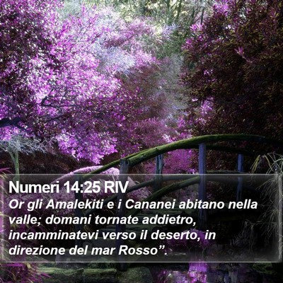 Numeri 14:25 RIV Bible Verse Image