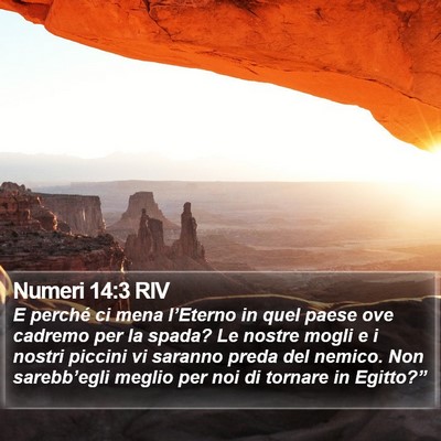 Numeri 14:3 RIV Bible Verse Image