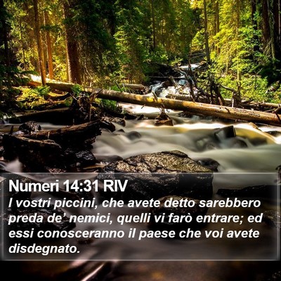 Numeri 14:31 RIV Bible Verse Image