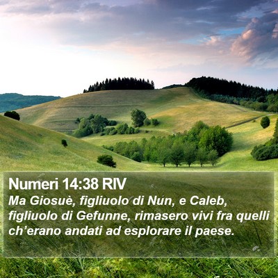 Numeri 14:38 RIV Bible Verse Image