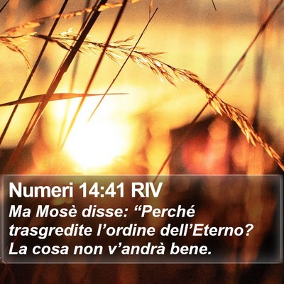 Numeri 14:41 RIV Bible Verse Image