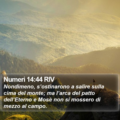 Numeri 14:44 RIV Bible Verse Image