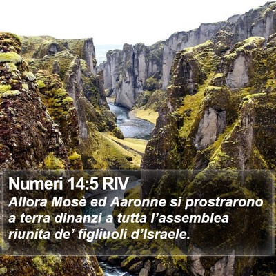 Numeri 14:5 RIV Bible Verse Image