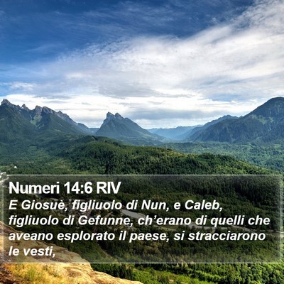 Numeri 14:6 RIV Bible Verse Image